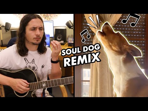 Soul Dog x The Kiffness - For Sam (Soulful Singing Dog Remix)