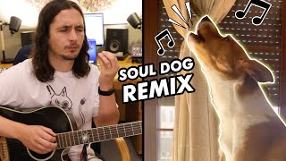 Musik-Video-Miniaturansicht zu Soul Dog Songtext von The Kiffness