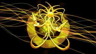 Cover art for influence