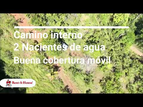 Imagen de Venta de Lotes y Terrenos en Mercedes sur - Puriscal Mercedes Sur - SAN JOSÉ