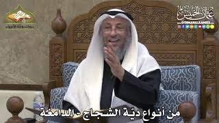 2366 - من أنواع ديّة الشجاج - الدامغة - عثمان الخميس