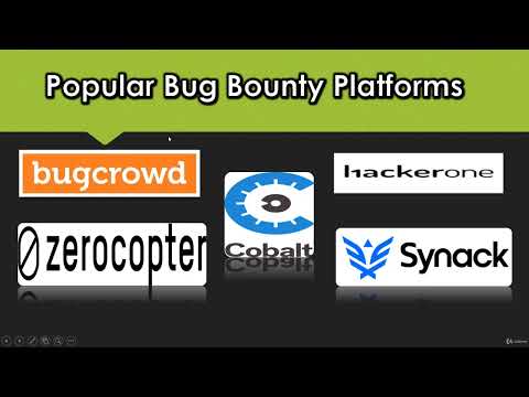 01 What is a Bug Bounty Program Bug Bounty Hunting Guide to an Advanced Earning Method