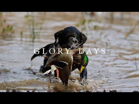 "Our Time" | Glory Days: Chronicles of the Habitat Flats Guide