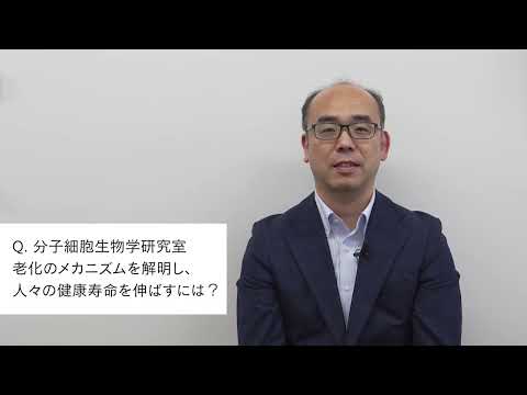 【2分程度で研究室紹介！】老化のメカニズムを解明し、人々の健康寿命を伸ばすには？