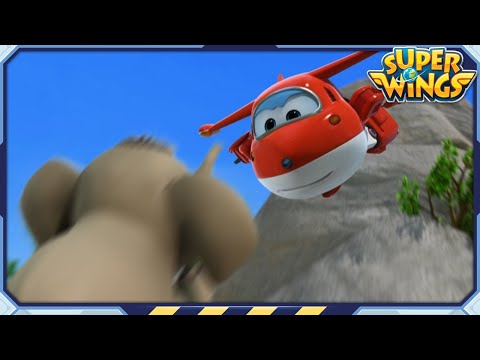 Witness21 Editor  2023 09 17