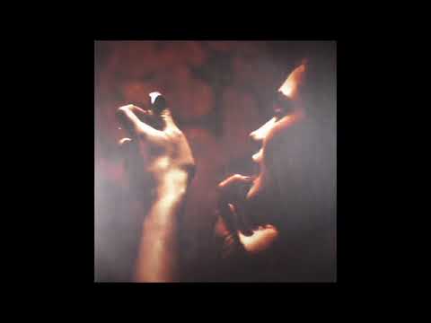 Schacke - Future Not Materialized [Ectotherm]