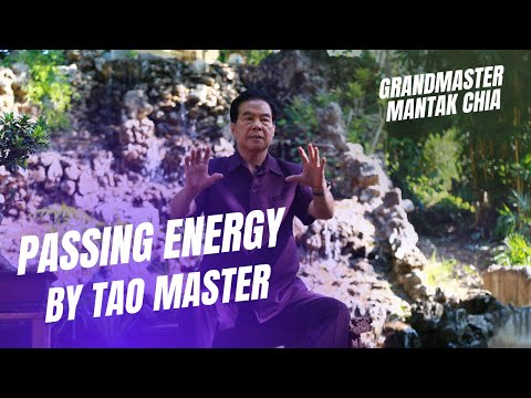 Passing energy and Microcosmic Orbit activation. Initiations by legendary Taoist Master Mantak Chia