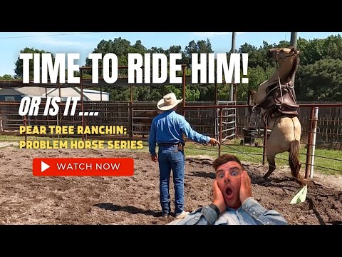 Pear Tree Ranchin 031: Problem Horse, Finally Riding the Rearing and Flipping over horse!