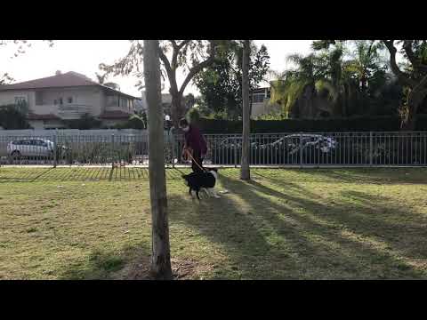 Me and maila are working and doing a training... ❤️