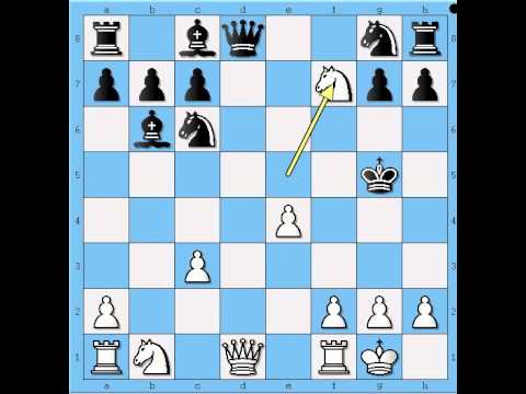 Skriveni napad - ECKL vs SCHONEWALD - Evansov gambit  # 538