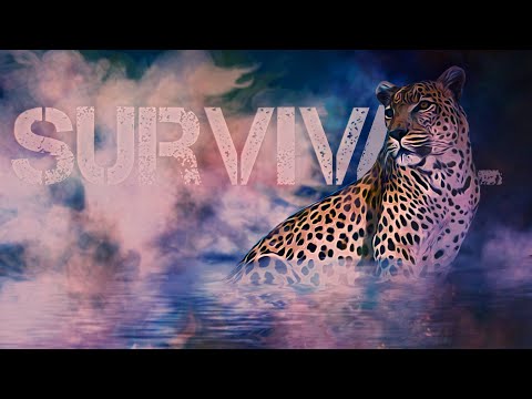 I played a Leopard this is what happened