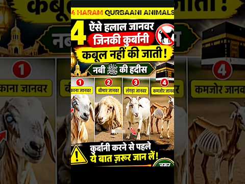 4 Halal Janwar Jinki Qurbani Qubool Nahi Hoti 🤔 #shorts