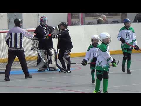 24/25 MLADŠÍ ŽÁCI: HORALOVÉ @ SK PEDAGOG Č. BUDĚJOVICE