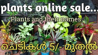 Plants online sale...Plants and their names.... ചെടികൾ 5/- മുതൽ  contact Ph.9846929566,8078209295
