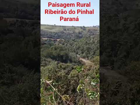 Paisagem Rural no município de Ribeirão do Pinhal no norte pioneiro do Paraná