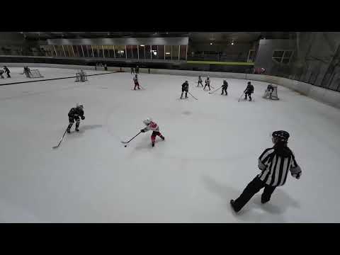 2024.12.15 2-HC Vipers