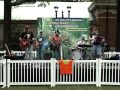 Skunks in My Shoes - The Fuzzy Lemons