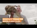 Grootste konijn ter wereld gestolen: voormalig Playboymodel looft 1150 euro uit voor gouden tip
