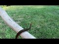Slithering Beauty In 4K Mesmerizing Snake Close Ups