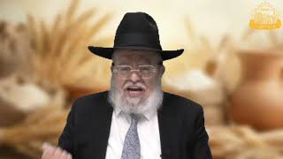 דף היומי בחצי שעה – מסכת מנחות דף ס'