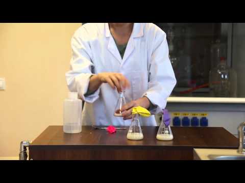 BIOLOGIA   Élesztő erjesztésének vizsgálata különböző cukor koncentráción