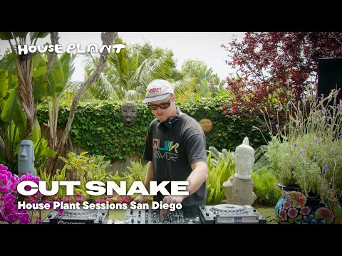 CUT SNAKE // Groovy House DJ Set