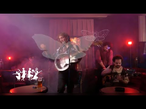 Lukas Antos - Motten