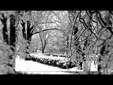 City Of Change - Norfolk, Virginia 1950's & 60's