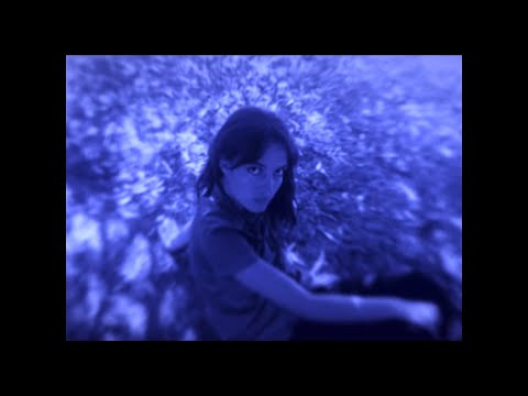 NIGHT BLOOMS Trailer