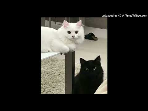 Two Mood Pt.2 (Remix) [Cover By Babyfortysix]