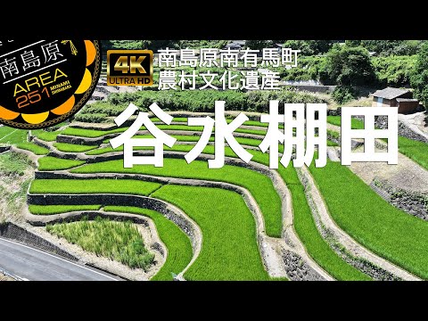 谷水棚田｜南島原市南有馬町