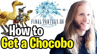 How to Get a MOUNT in FINAL FANTASY 14 (FF14)