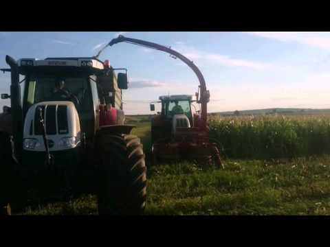 Maishäckseln 2015 - MEX 5, Steyr cvt 6195