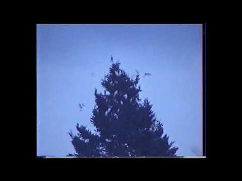 (FREE) No Name X Smino X Saba Type Beat - Sunday School