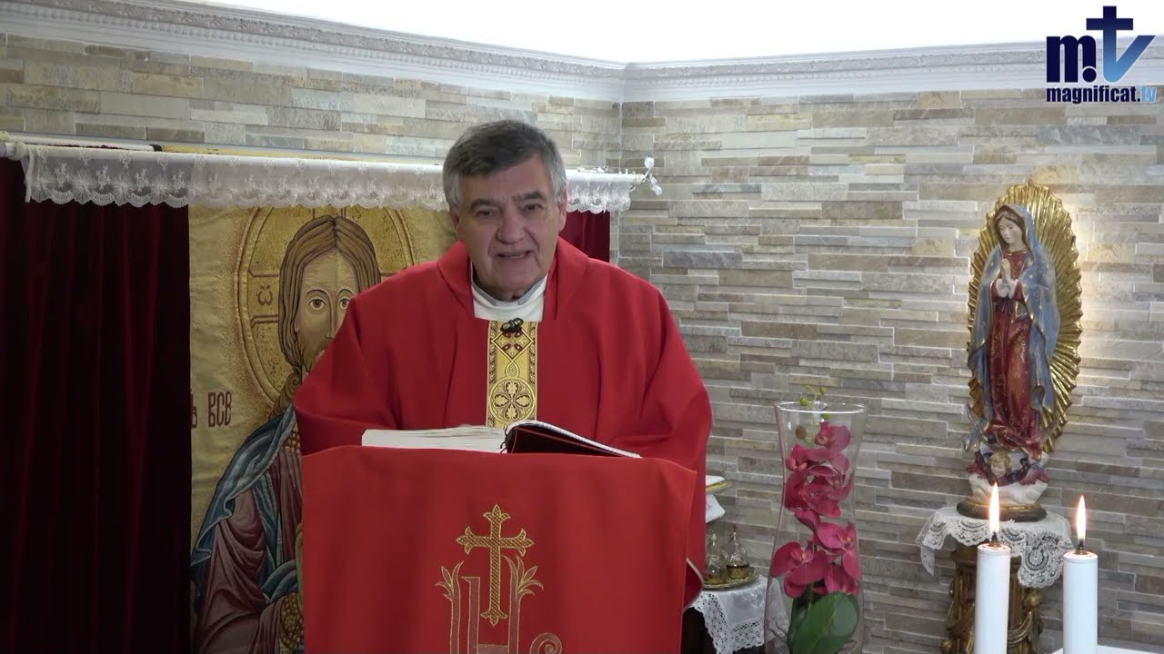 Hacer todo el bien posible como deber | San Vicente, diácono y mártir | 22-01-25 | P. Santiago M. FM