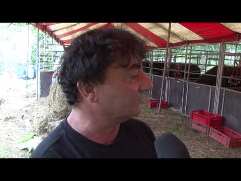 Leben im Zirkus „Fischer-Starlight"