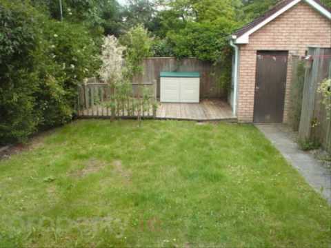 Boll - Lim & klister