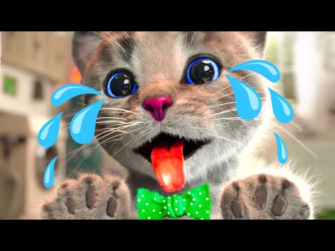 SUPER LITTLE KITTEN ADVENTURE - CARTOON KITTEN AND HIS ANIMAL FRIENDS (SPECIAL LONG STORY)