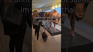 Lohnt sich ein Besuch im Neanderthal Museum?