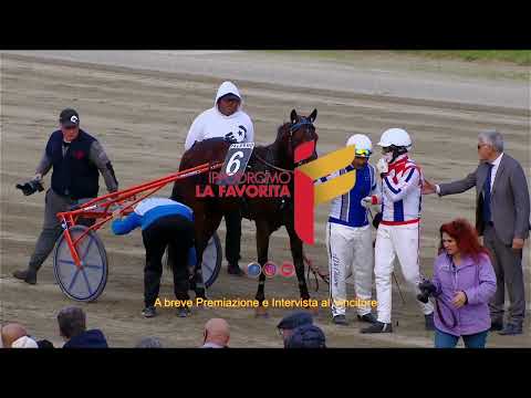 VI Corsa del 17 Dicembre 2022 - Criterium Siciliano Mem. Biagio Lo Verde - 2 Anni - Metri 1600