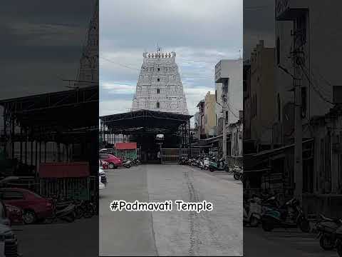 #padmavati #tirupati 🙏🙏🙏#shortsviral #reels