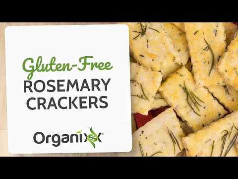 2nd YouTube video about are saltine crackers gluten free