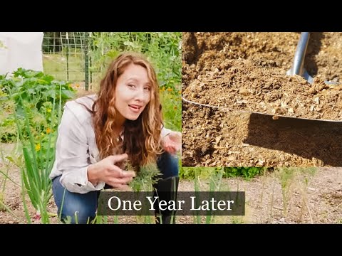 We covered 1/2 the garden in wood chips | One Year Later | Did it IMPROVE the Soil?