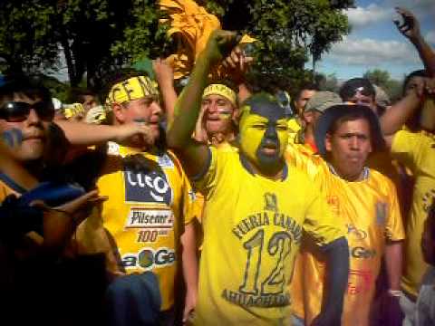 "Entrada de la fuerza canaria al estadio" Barra: La Fiel Amarilla • Club: Once Municipal