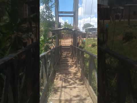 El puente colgante de El tortuguero en Nicaragua.. Region Autónoma de la costa Caribe
