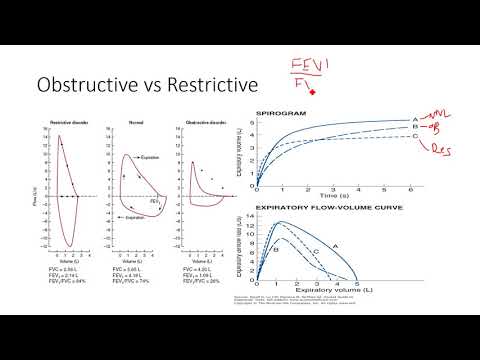 Pulmonary Function Testing 2: Interpretation