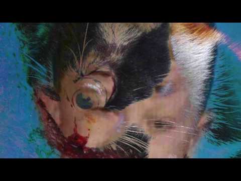 Righteous Mindz- Thissongisaboutmycatimissthemsomuch BEVST x AMB$