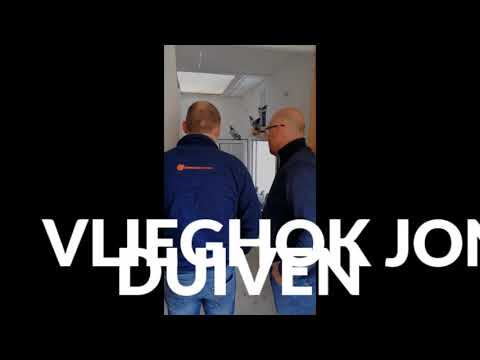 Video Bert Penne op bezoek bij Stefan Steenbergen, Herk-de-Stad,België.