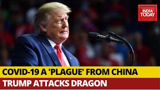 Plague From China Should Have Never Happened: U.S. President Donald Trump On COVID-19 Crisis