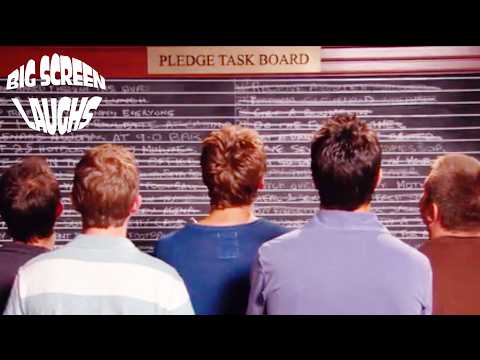 Stifler & The Betas Get Arrested | American Pie Presents: Beta House | Big Screen Laughs